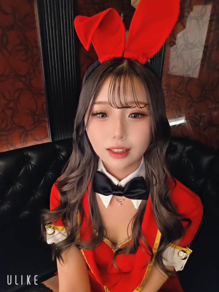 バニーハント - みんと画像